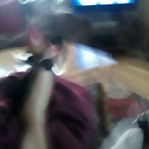 Meet your Posher, Barbara