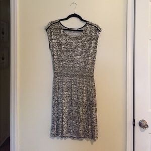 Loft Zebra pattern dress.
