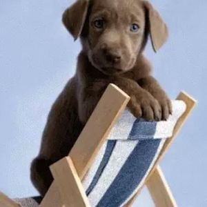 Meet your Posher, Jan