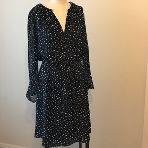 Ann Taylor LOFT dress