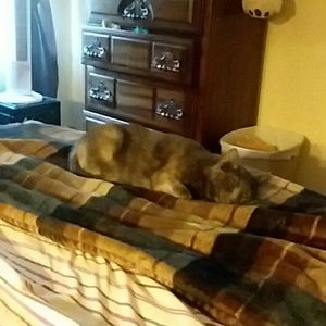 Meet your Posher, Leveda