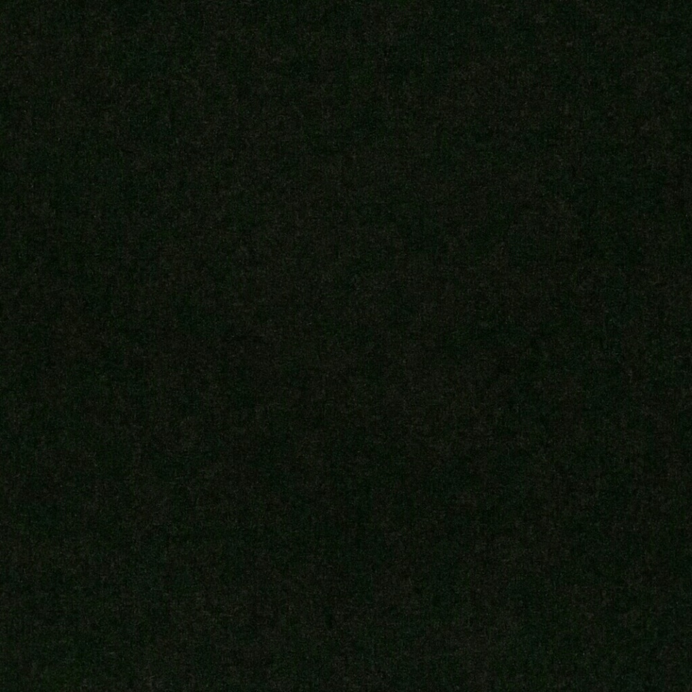 Meet your Posher, Rikki