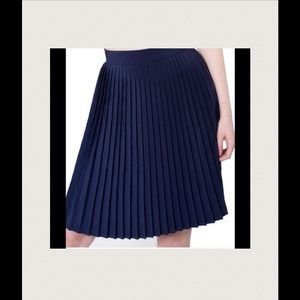 Pleated navy blue skirt