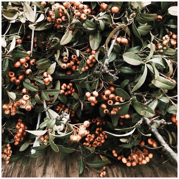 Everything have to go !!!!! Make an offer !!!! - Picture 3 of 8