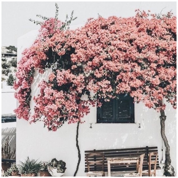 Everything have to go !!!!! Make an offer !!!! - Picture 6 of 8