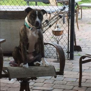 Meet your Posher, Kenneth