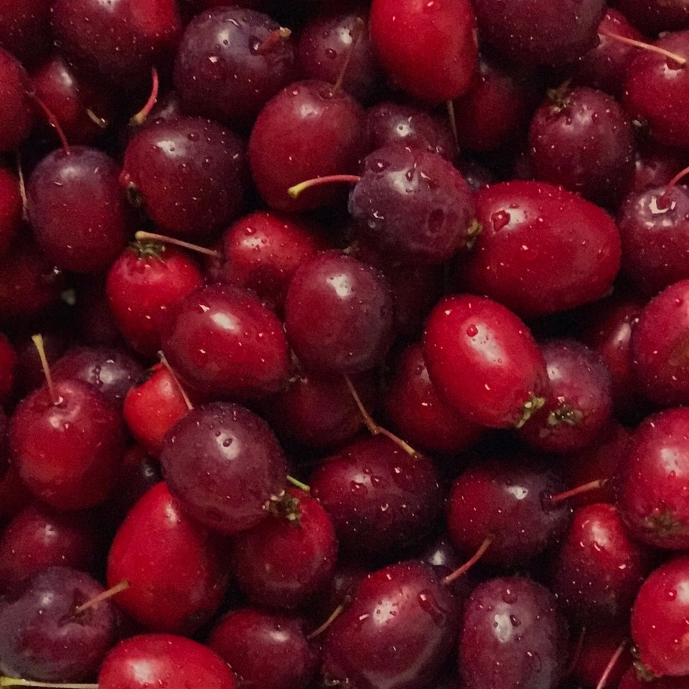 Meet your Posher, Tess