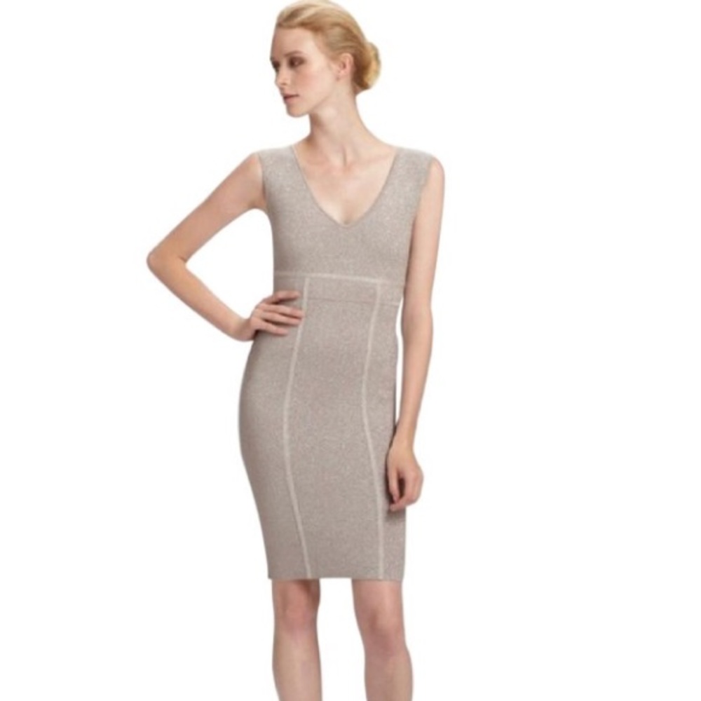 BCBGMaxAzria Body Con Ribel Dress with Lurex