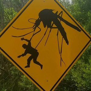 Meet your Posher, Ana