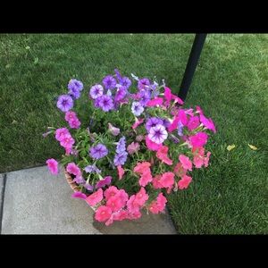 Meet your Posher, Jackie