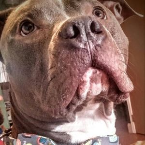 Meet your Posher, Kerri