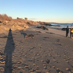 Meet your Posher, Miranda