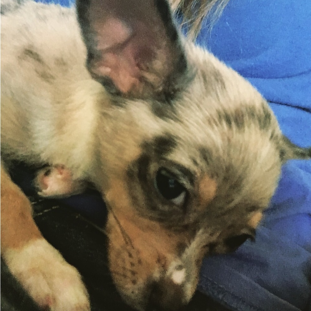 Meet your Posher, Raegyn