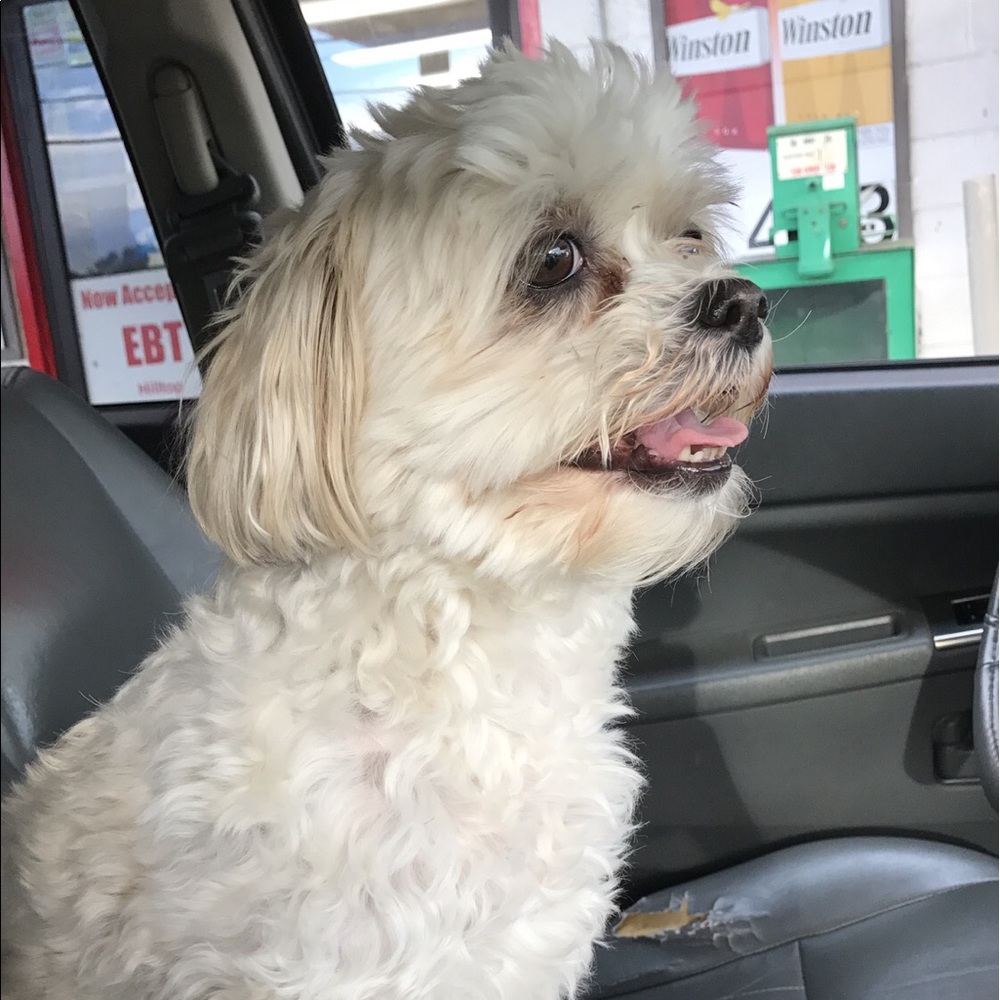 Meet your Posher, Rhonda