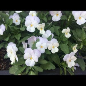 Meet your Posher, Kathe