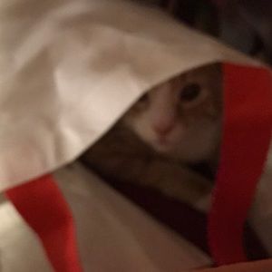 Meet your Posher, Cheryl