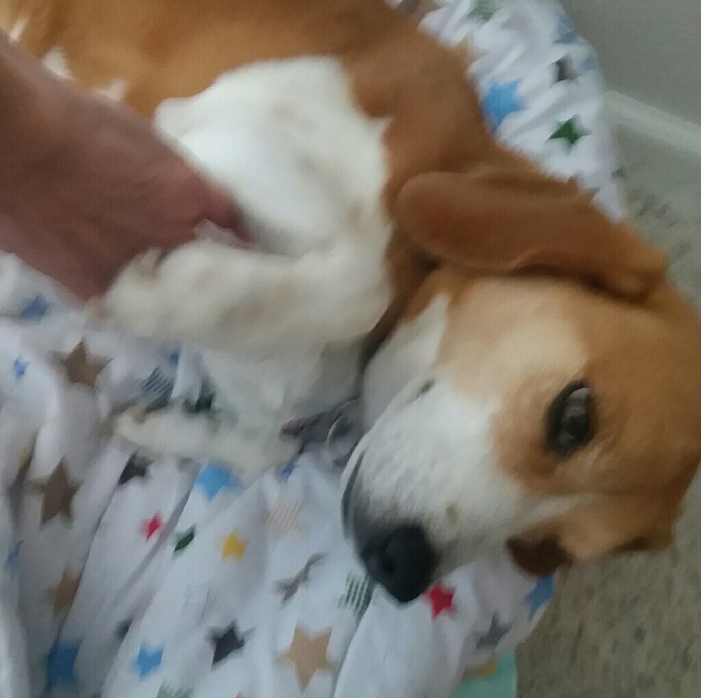 Meet your Posher, Jeanien