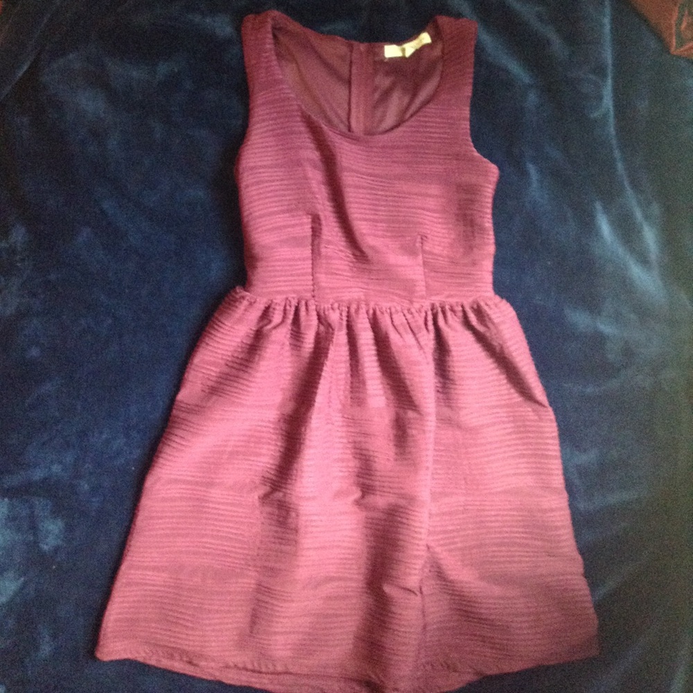 Textured Plum Rewind Skater Dress