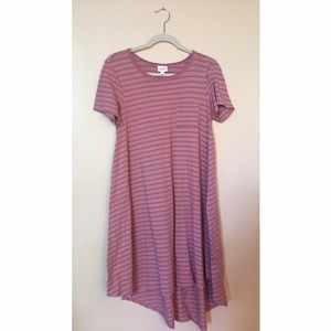 BRAND NEW LULROE Carly Dress