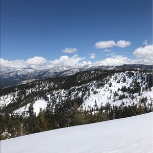 Meet your Posher, Hayden