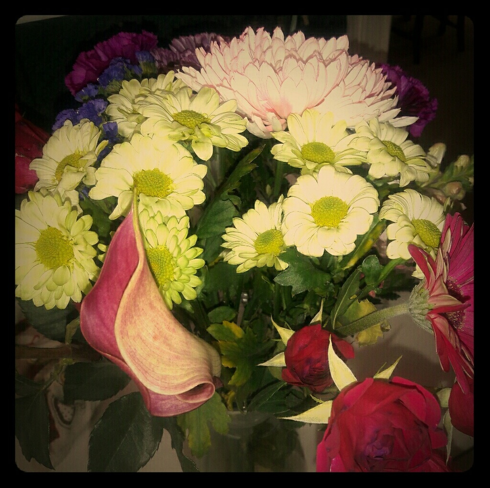 Meet your Posher, TG