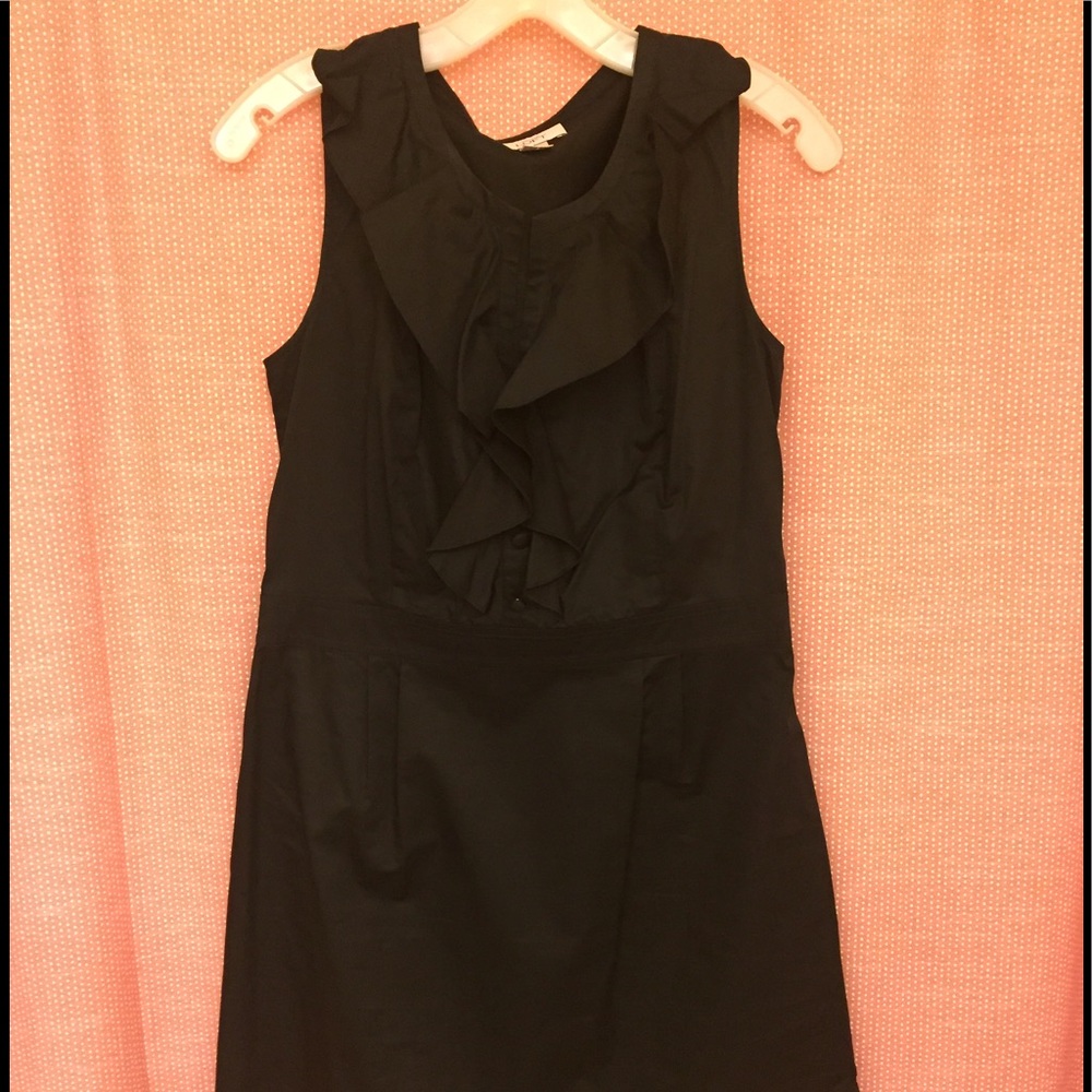 Ann Taylor Loft Dress