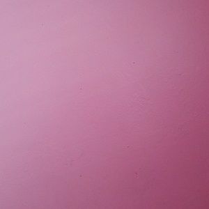 Meet your Posher, Daisy