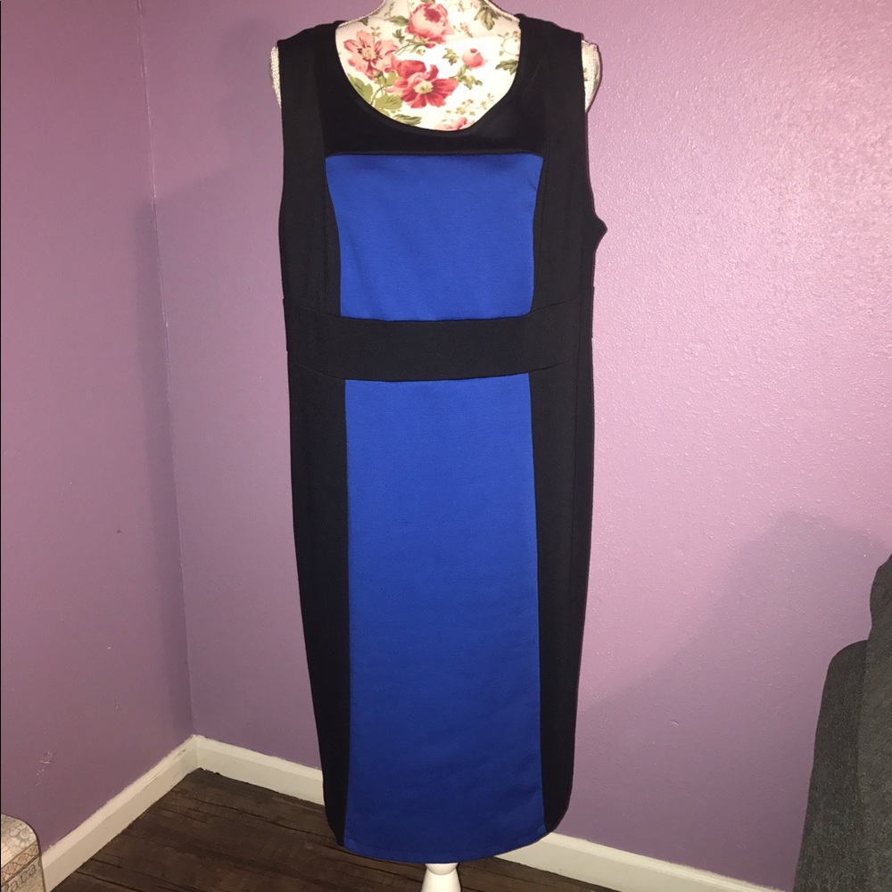 A two toned color sleeveless dress.