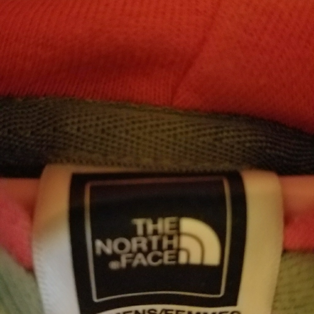 The north face hoodie size Large