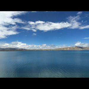 Meet your Posher, Winnie