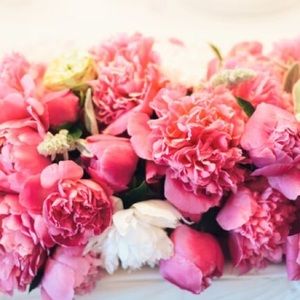 Meet your Posher, Liz