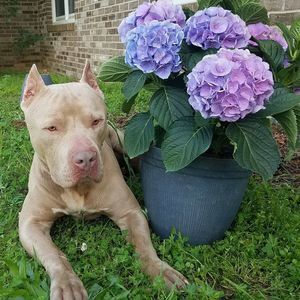 Meet your Posher, Tracey