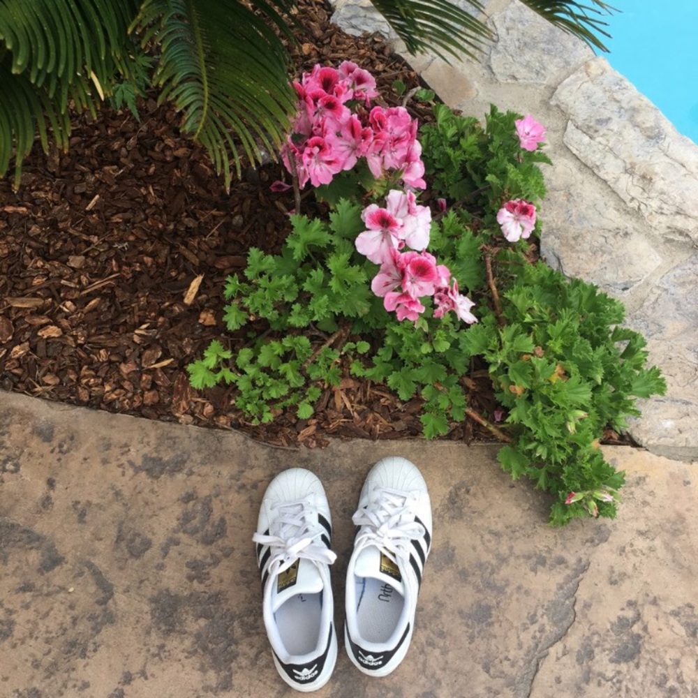 Adidas Superstars