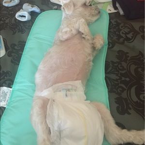 Meet your Posher, Alondra