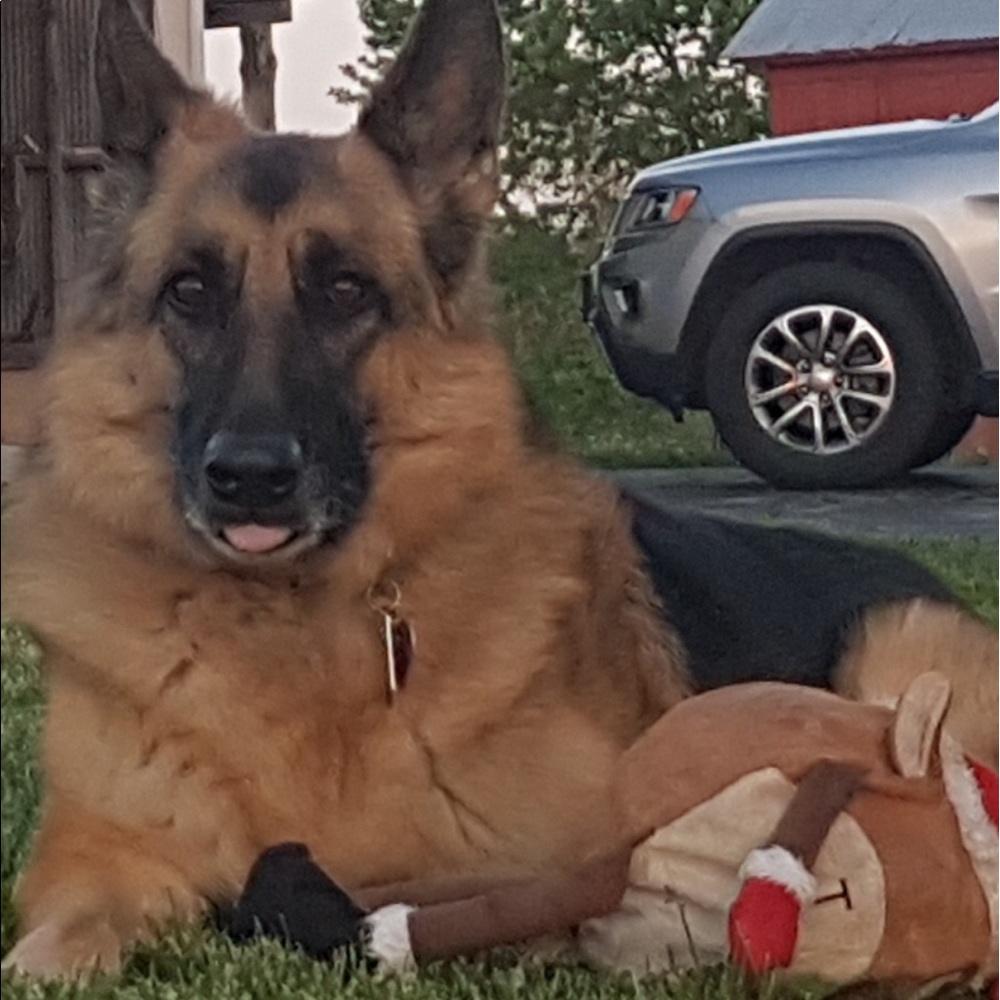 Meet your Posher, Cheryl