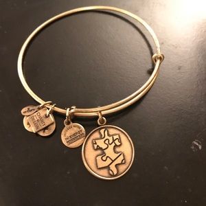 Alex and Ani Autism Puzzle Piece