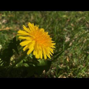 Meet your Posher, Fatima