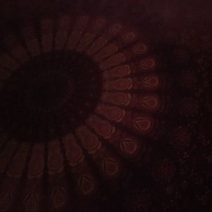 Meet your Posher, Ali