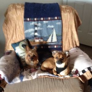 Meet your Posher, Lynn