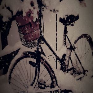 Meet your Posher, Peggy