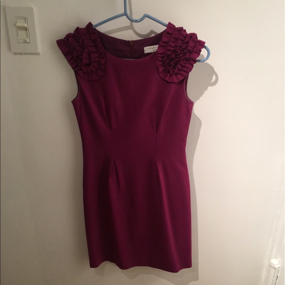 Trina Turk Form Fitting Dress