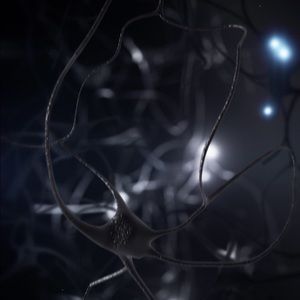 Meet your Posher, Barry