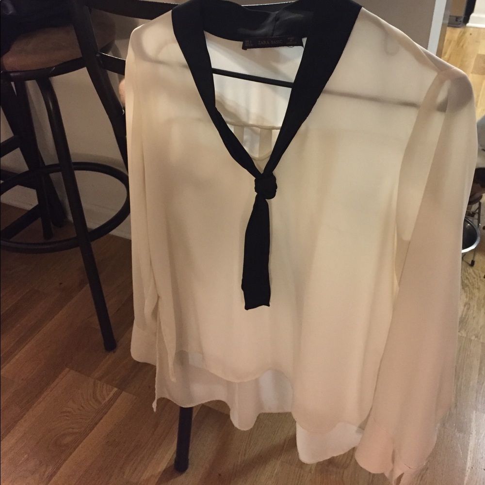 Zara sheer blouse