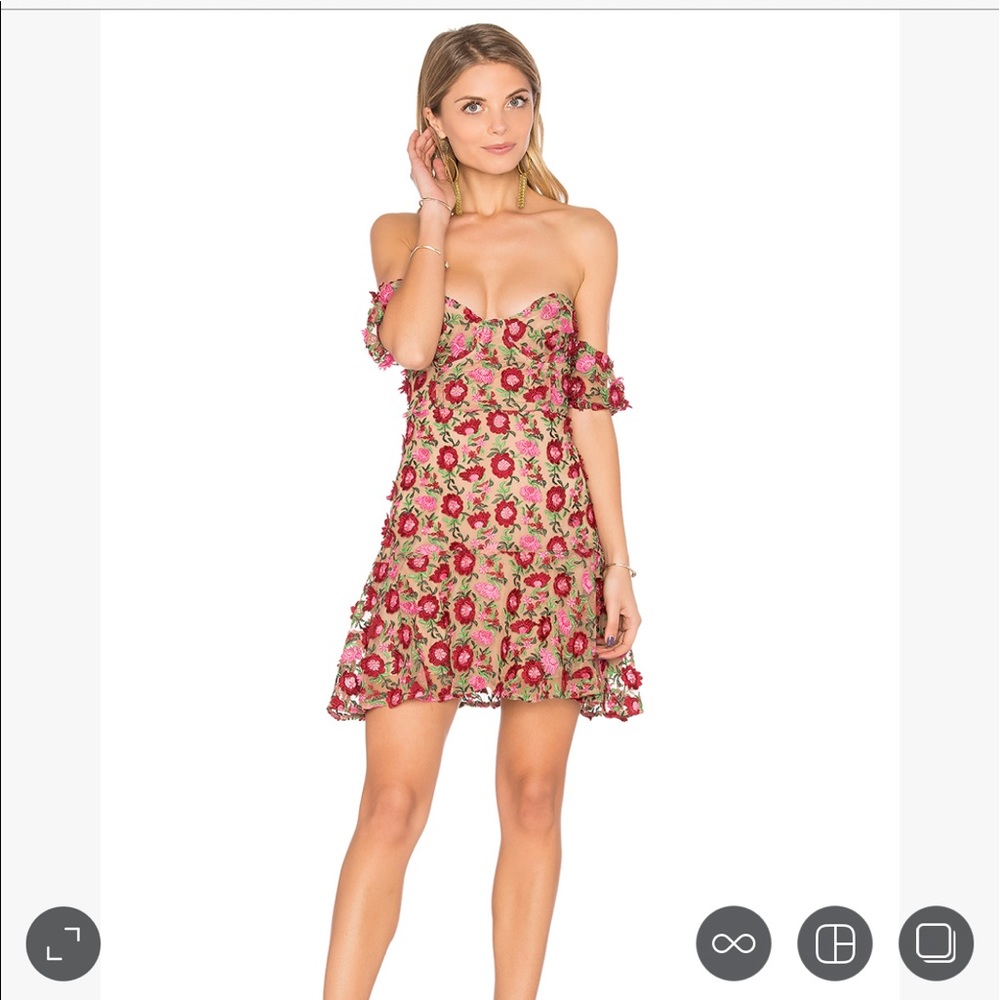 For love and lemons Amelia new mini dress