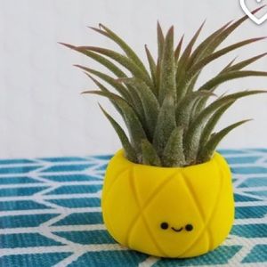 Meet your Posher, Rita