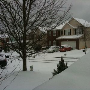 Meet your Posher, Chien