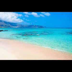 Meet your Posher, Amelia