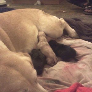 Meet your Posher, Sharon