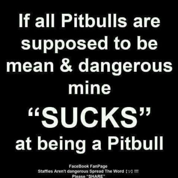 Meet your Posher, Christopher - Picture 1 of 1