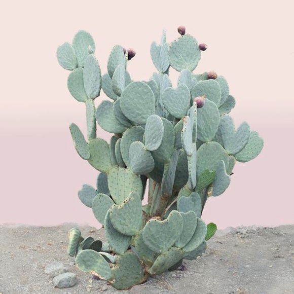 Meet your Posher, Jenna - Picture 6 of 8